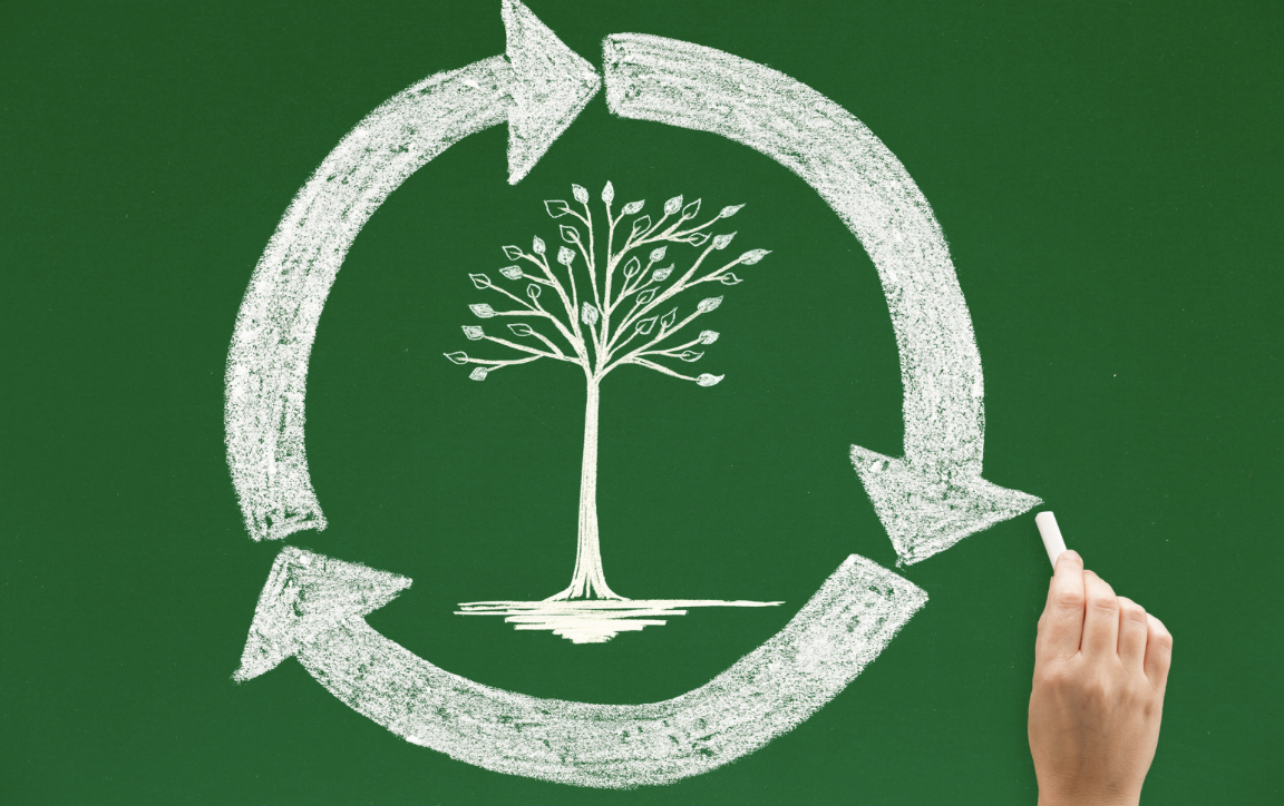 Ürün Yaşam Döngüsü Değerlendirmesi (LCA) Nedir ve Neden Önemlidir?