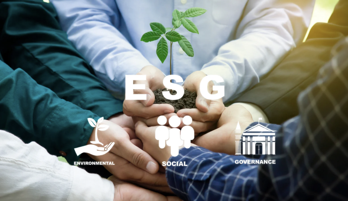 ESG Raporlama Nedir?